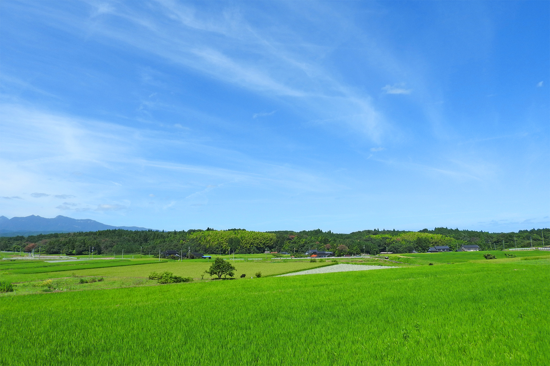 日本の風景 夏の田園風景2 壁紙19x1280 壁紙館