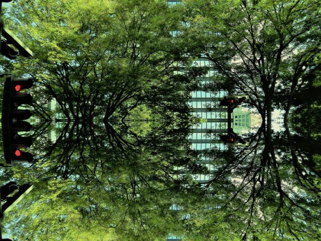 緑に包まれる新宿