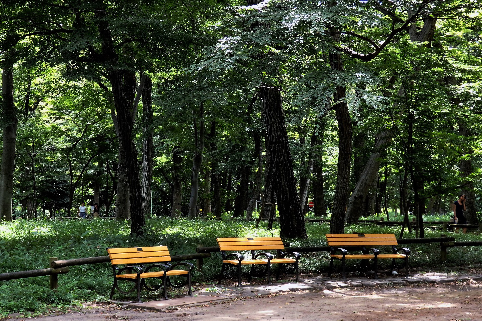 日本の風景 井の頭公園のベンチ 壁紙19x1281 壁紙館