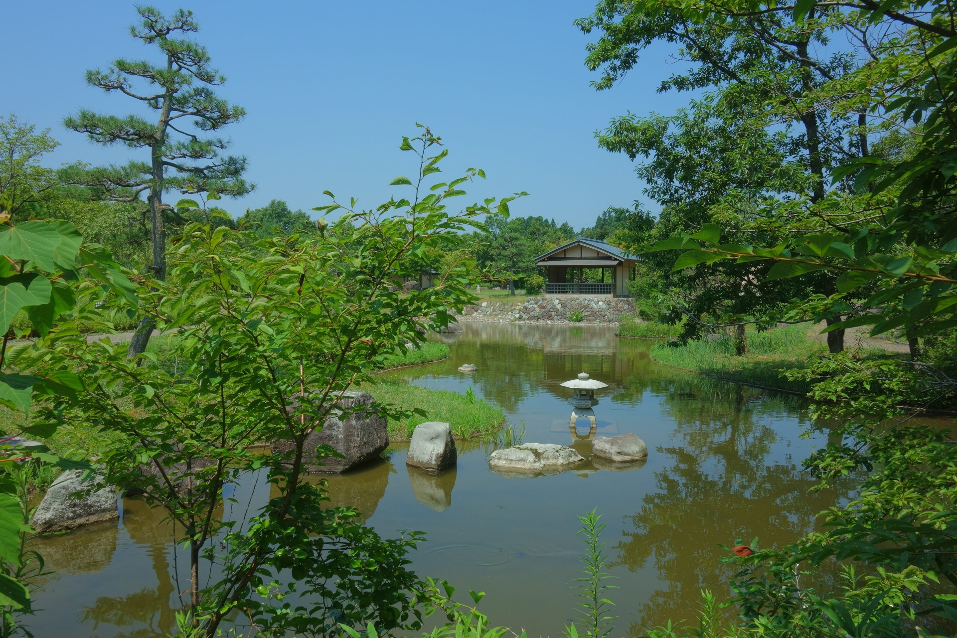 日本の風景 夏の日本庭園 壁紙19x1280 壁紙館