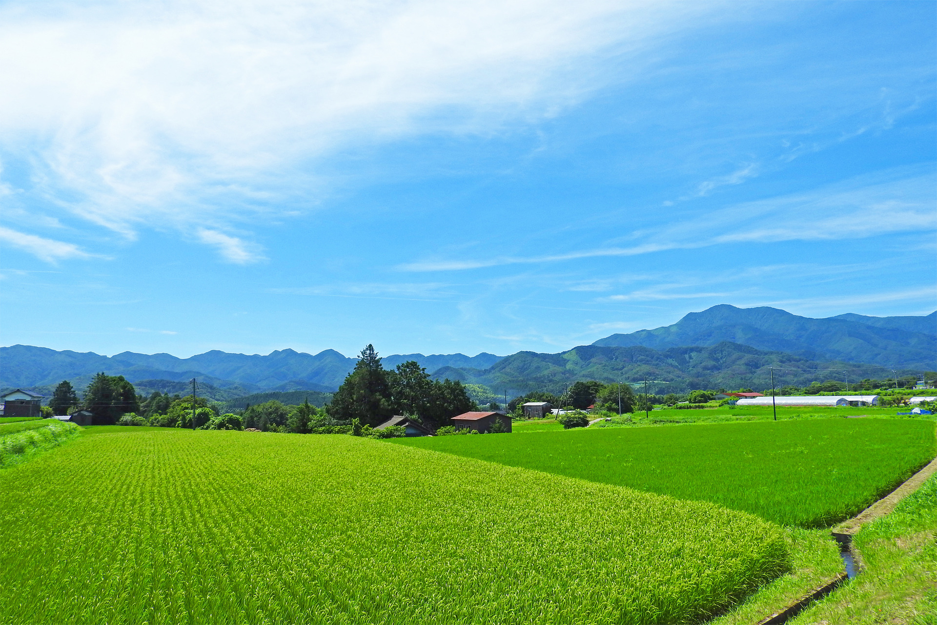 日本の風景 夏の田園風景3 壁紙19x1280 壁紙館
