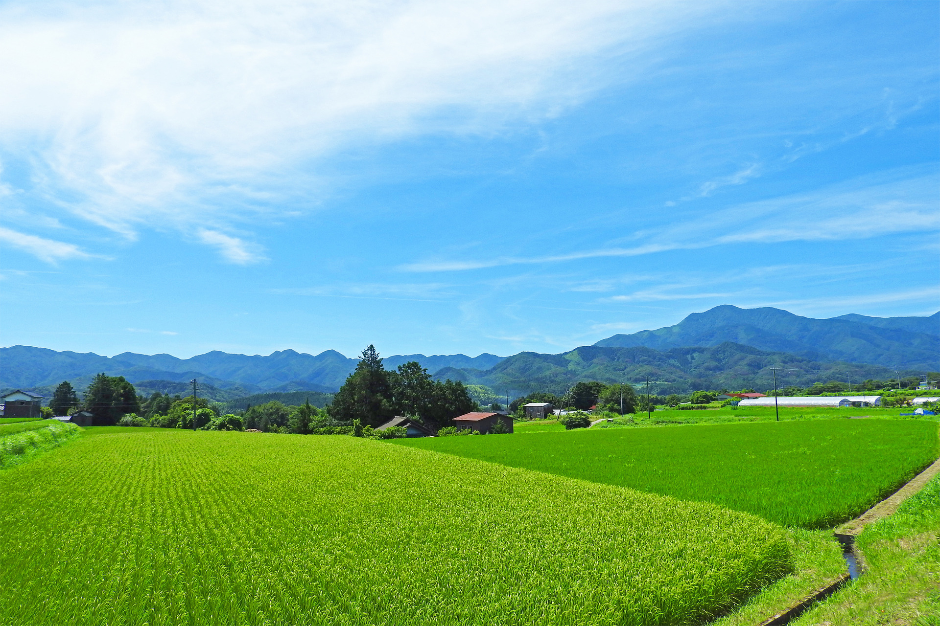 日本の風景 夏の田園風景3 壁紙1920x1280 壁紙館