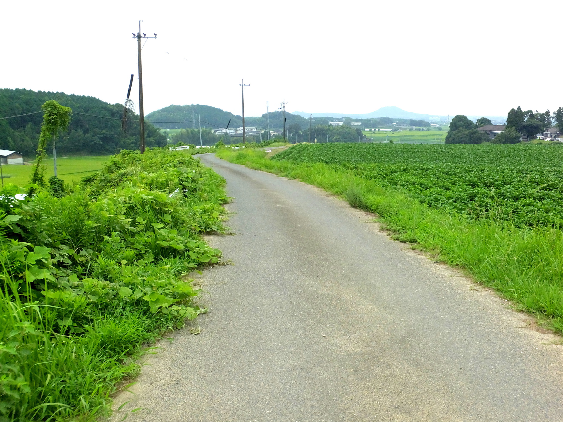 日本の風景 田舎道 壁紙19x1440 壁紙館