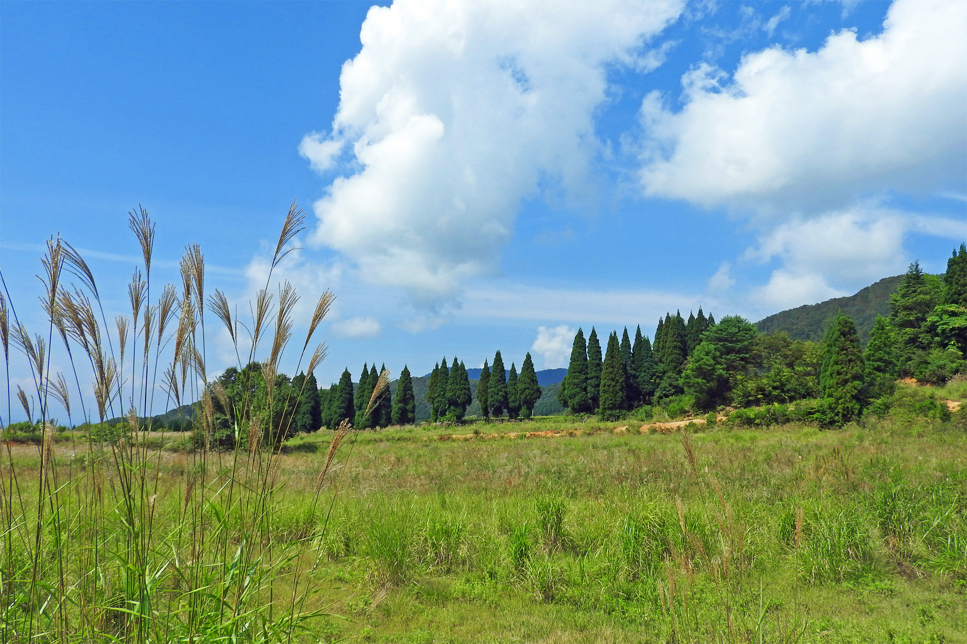 日本の風景 ススキの草原4 壁紙19x1280 壁紙館