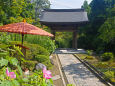 鎌倉 海蔵寺