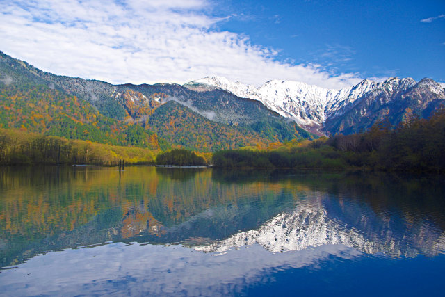 紅葉映す大正池
