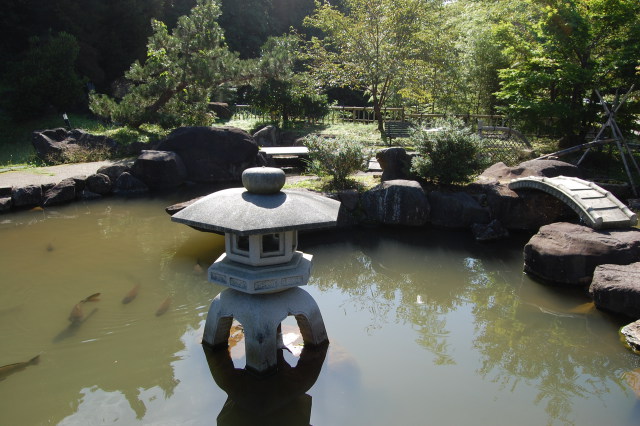 夏の終わりの日本庭園 2010-2