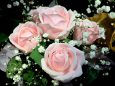 バラの那覇のブーケ