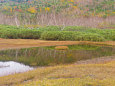 栂池自然園 浮島湿原