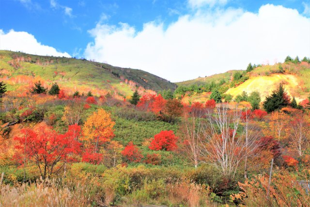 八幡平アスピーテラインから