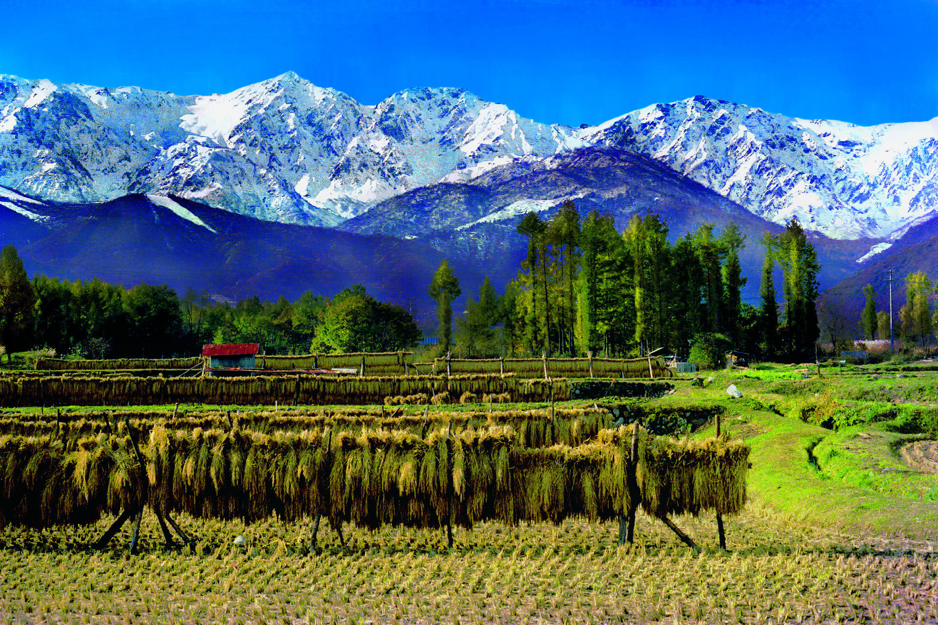 日本の風景 秋の白馬三山 1980年 壁紙19x1280 壁紙館 日本の風景 秋の白馬三山 1980年 壁紙19x1280 壁紙館