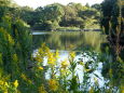 白岳自然公園の湖