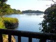 自然公園の湖の浮橋