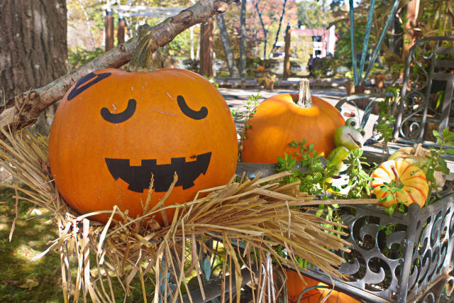 軽井沢タリアセンのハロウィン