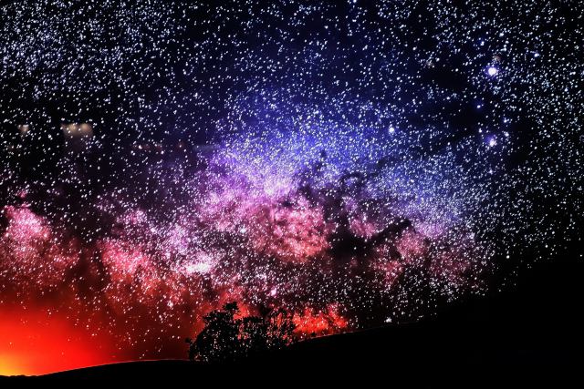 ユニーク星空 壁紙 高 画質 最高の花の画像