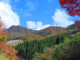 紅葉の季節 氷ノ山