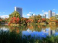 紅葉の中島公園(菖蒲池)