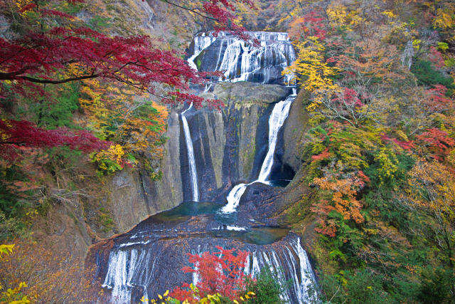 錦秋の袋田の滝