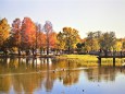 秋の水元公園