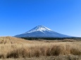 晩秋の富士