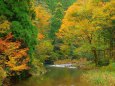 深まりゆく竹田渓流の秋