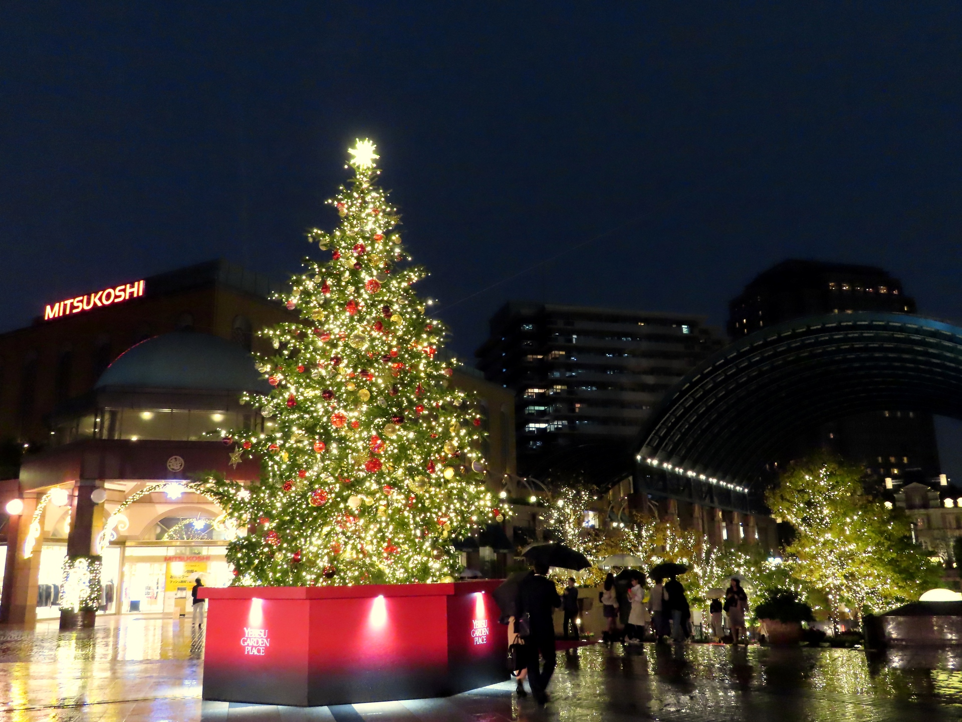 夜景 花火 イルミ クリスマスツリー 壁紙19x1440 壁紙館