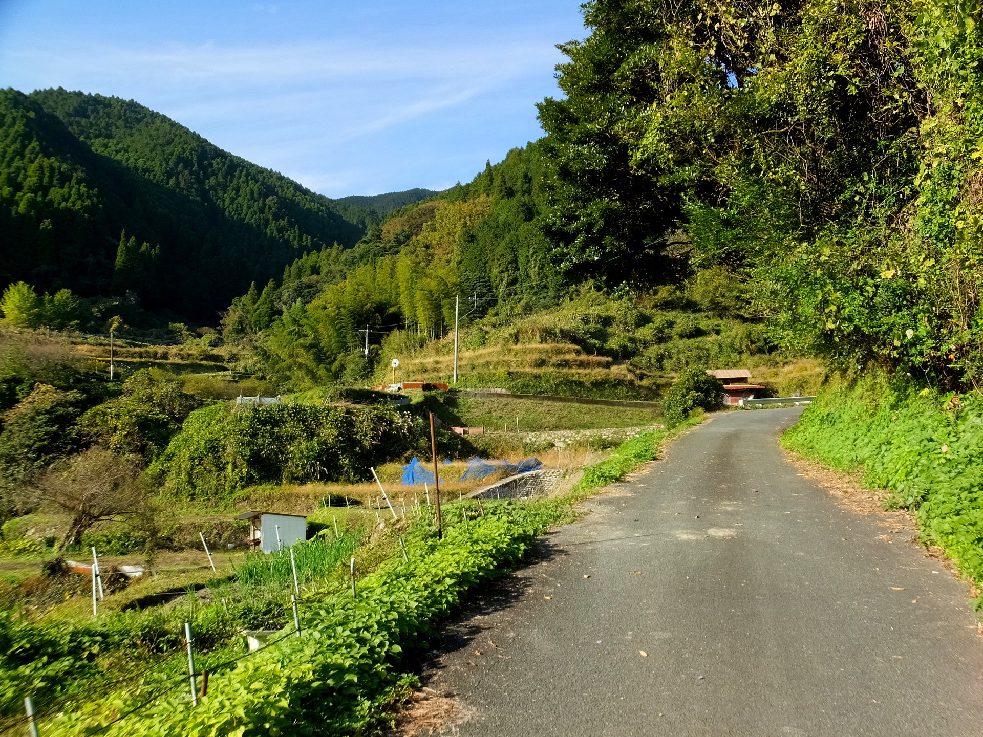 日本の風景 秋の田舎道 壁紙19x1440 壁紙館