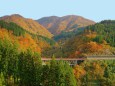 秋の東山橋