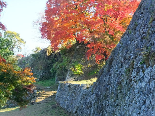 城址石垣の紅葉