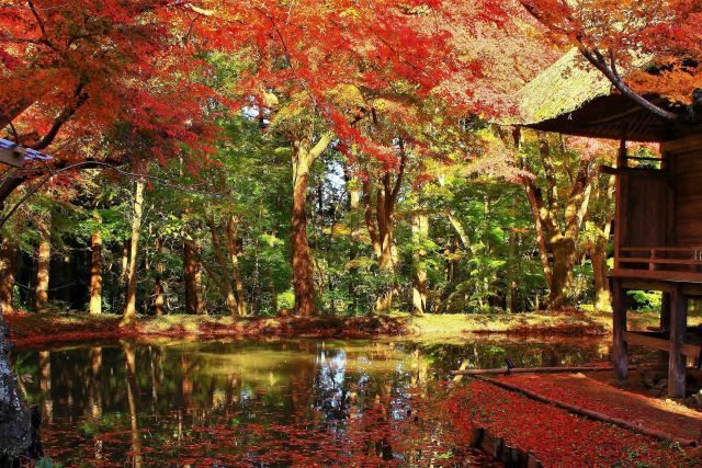 秋の中尊寺