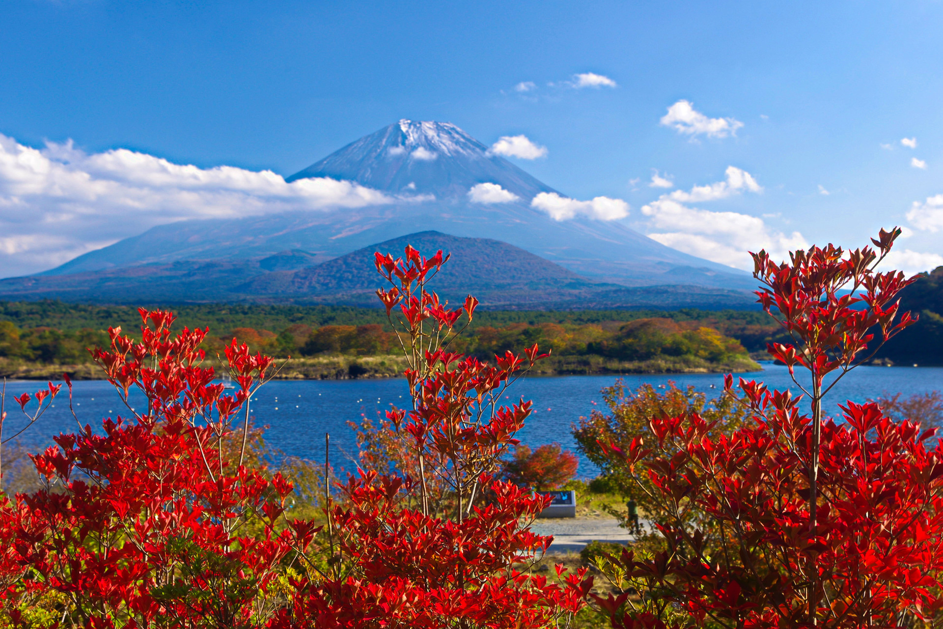 日本の風景 富士山と紅葉 壁紙19x1280 壁紙館