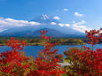 富士山と紅葉 
