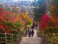 新倉山浅間公園 石段の紅葉