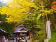 新倉富士浅間神社の黄葉
