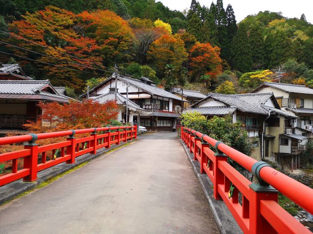 京都清滝紅葉