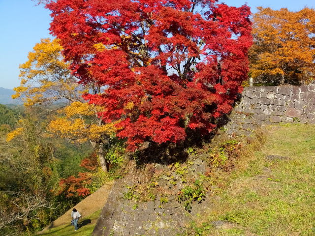 城址石垣の紅葉