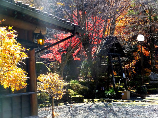 九重の名水あいのせ茶屋の紅葉