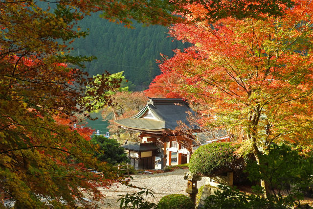長源寺の秋3