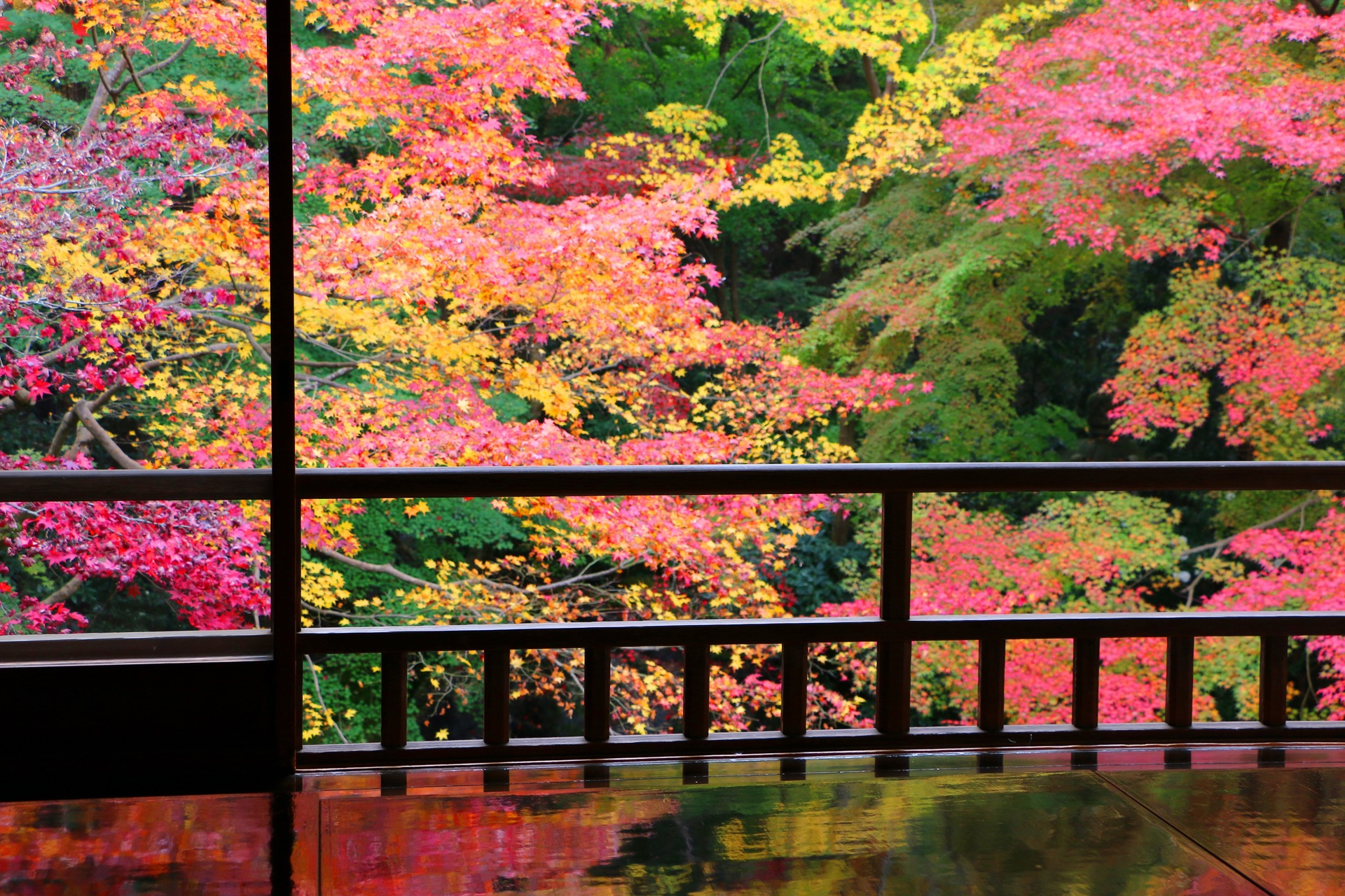日本の風景 瑠璃光院紅葉 壁紙19x1280 壁紙館 日本の風景 瑠璃光院紅葉 壁紙19x1280 壁紙館