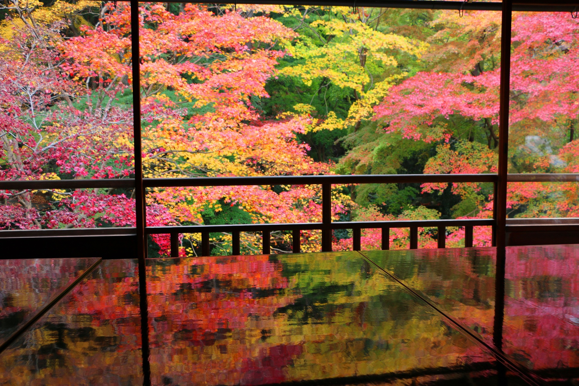 日本の風景 瑠璃光院紅葉 壁紙19x1280 壁紙館