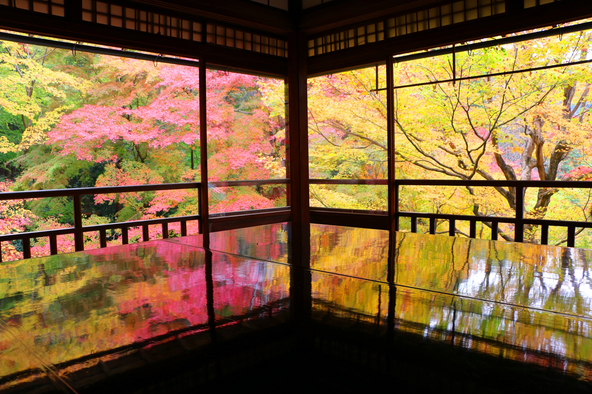 日本の風景 瑠璃光院紅葉 壁紙19x1280 壁紙館