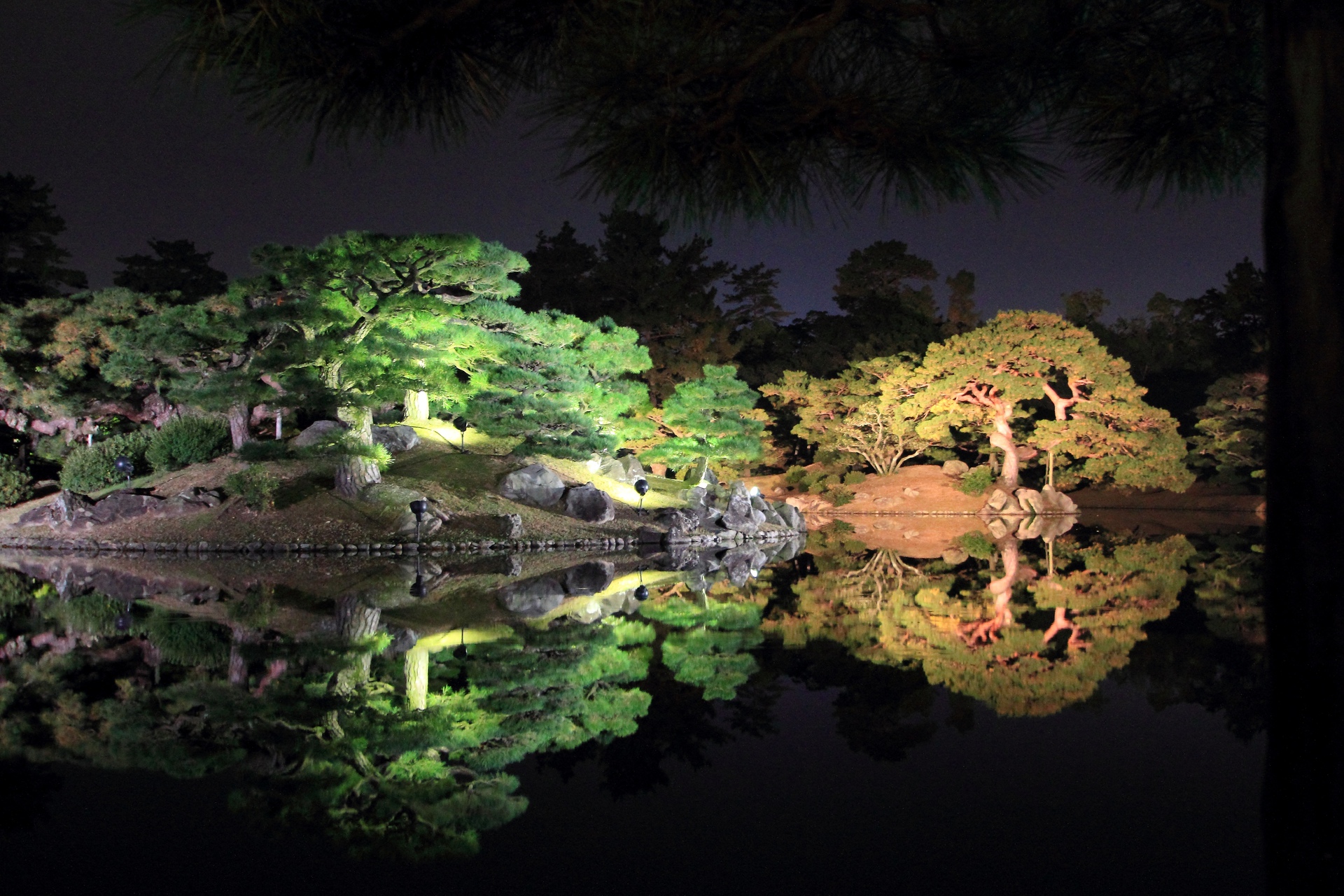 夜景 花火 イルミ 公園の幻想的なライトアップ 壁紙19x1280 壁紙館