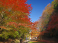 濃溝の滝 周辺の紅葉