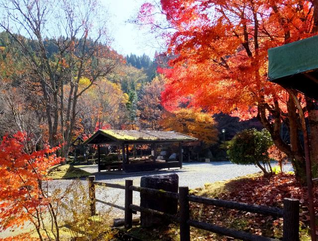 晩秋の紅葉