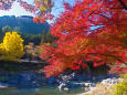 秋色の御岳渓谷
