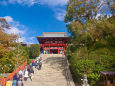 鎌倉の秋 鶴岡八幡宮