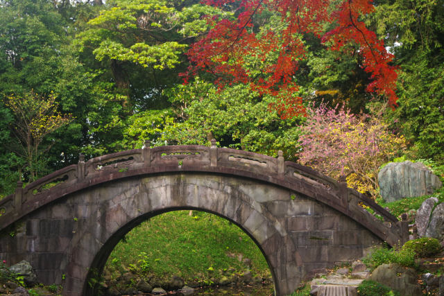 小石川後楽園 円月橋