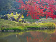 小石川後楽園 蓬莱島と紅葉
