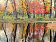 塚山公園の紅葉