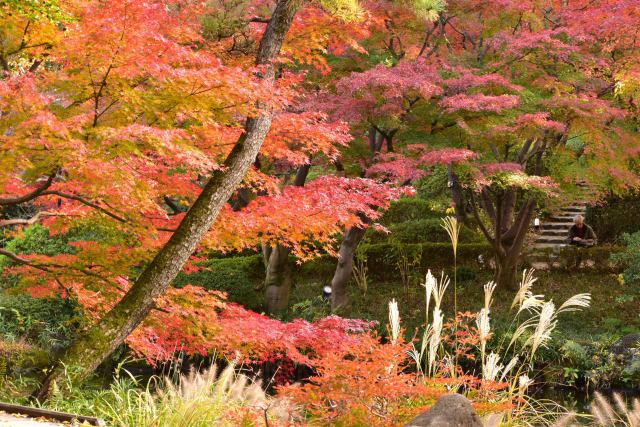 甘泉園公園